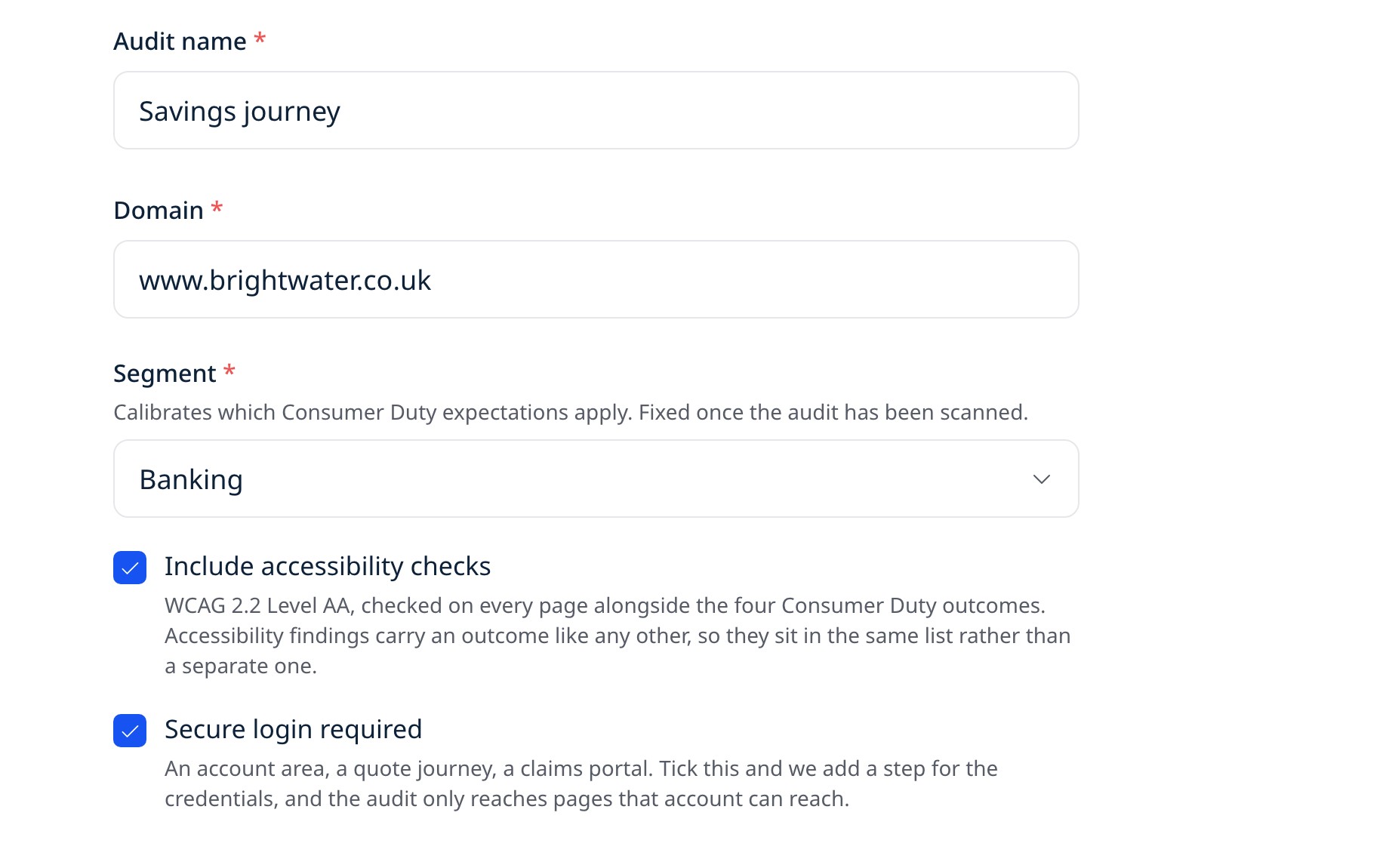 UXDuty audit set-up, Audit details step: audit name, domain, segment, and the accessibility checks and secure login options.